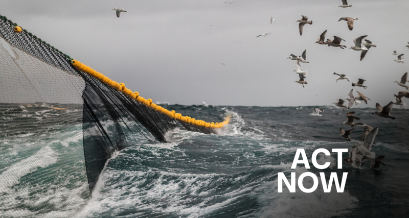 A large net have submerged in a choppy sea
