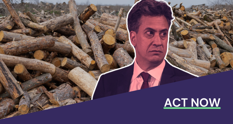 UK energy secretary Ed Miliband against a backdrop of piled up lobs. The text reads: "Act now"
