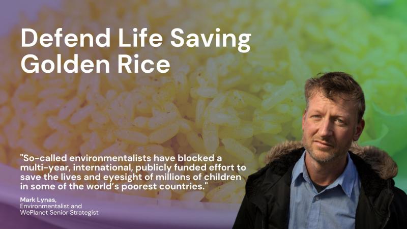 The worlds 'Defend Life Saving Golden Rice' are written over a bowl of golden rice.